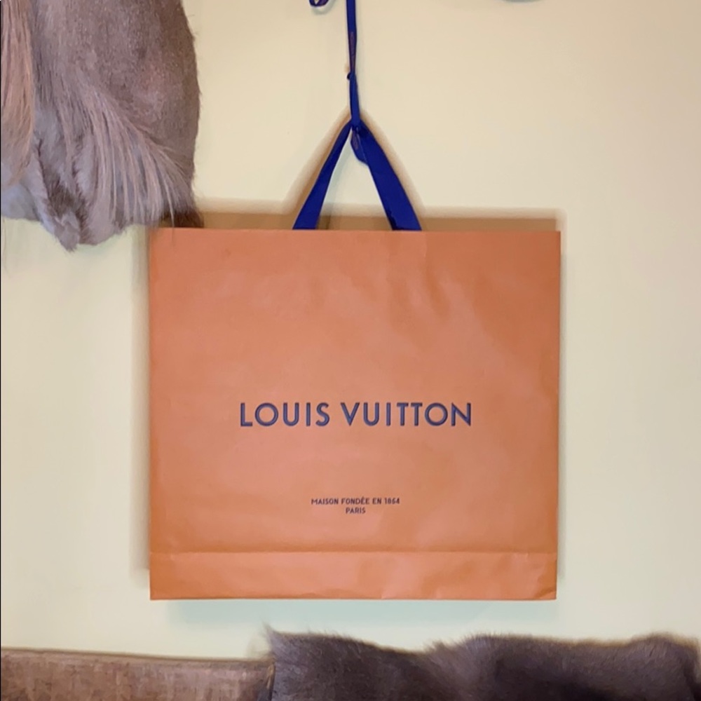 Authentic Louis Vuitton Paper Shopping Bag &Ribbon